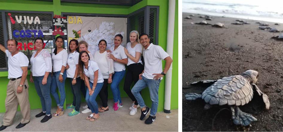1 picture: 10 people are posing in front of a building. 2 picture: A turtle on a sandy beach near the water. 