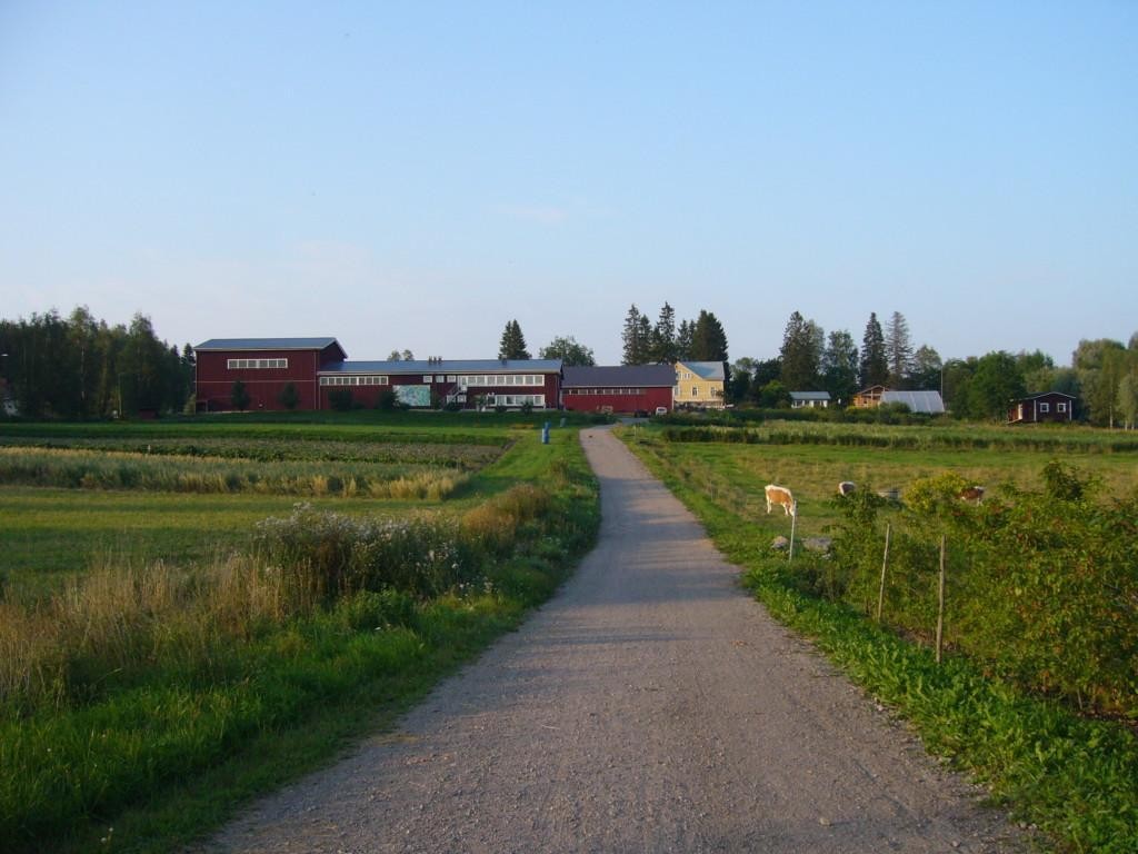 A road leading to farm houses, field on both sides of the rooad.