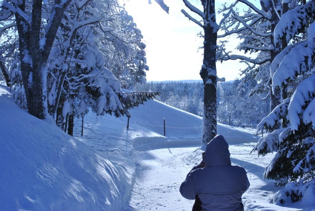A snowy scenary with trees and a path. In the foreground, there is a person standing, their back towards the camera.