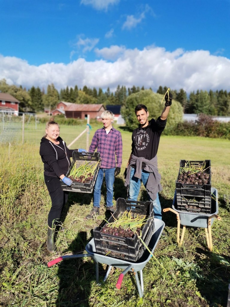 Three people on a sunny day on a field, harvesting. All look at the camera.