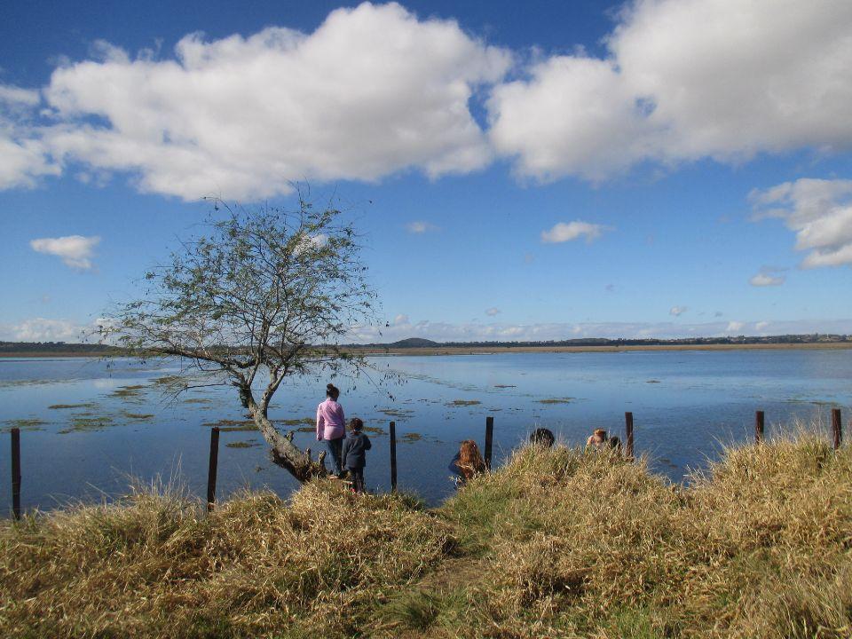 Brasilia 3